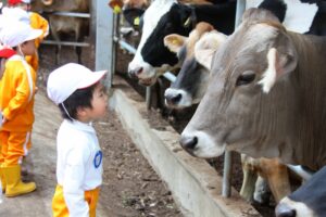 年中さん　磯沼ファームへ